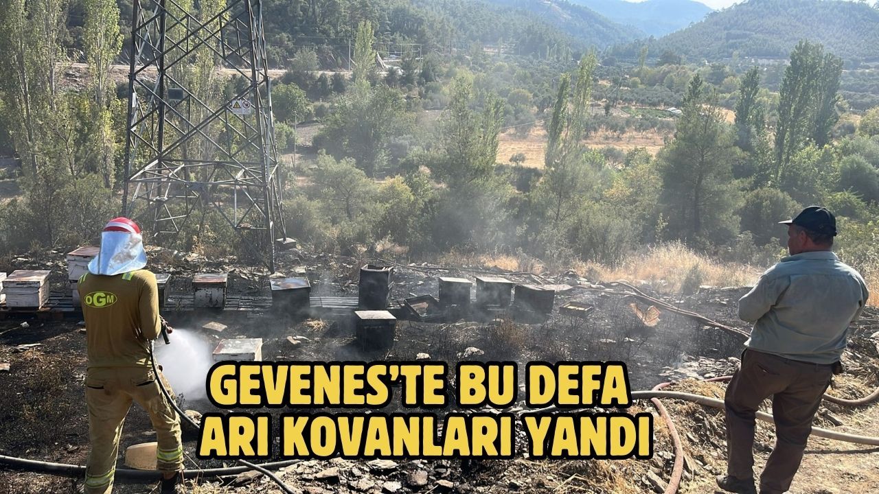 Gevenes’te bu defa arı kovanları yandı