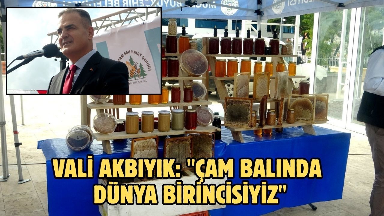 Vali Akbıyık: "Çam balında dünya birincisiyiz"