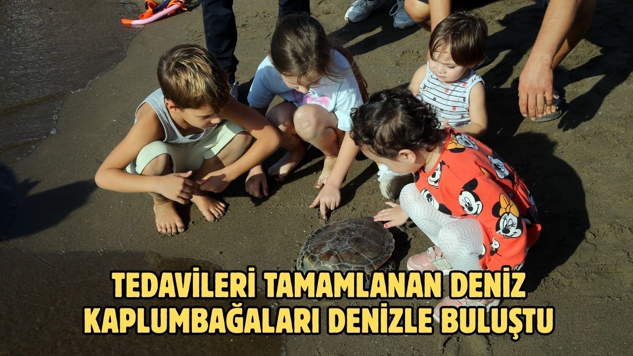 Tedavileri tamamlanan deniz kaplumbağaları denizle buluştu