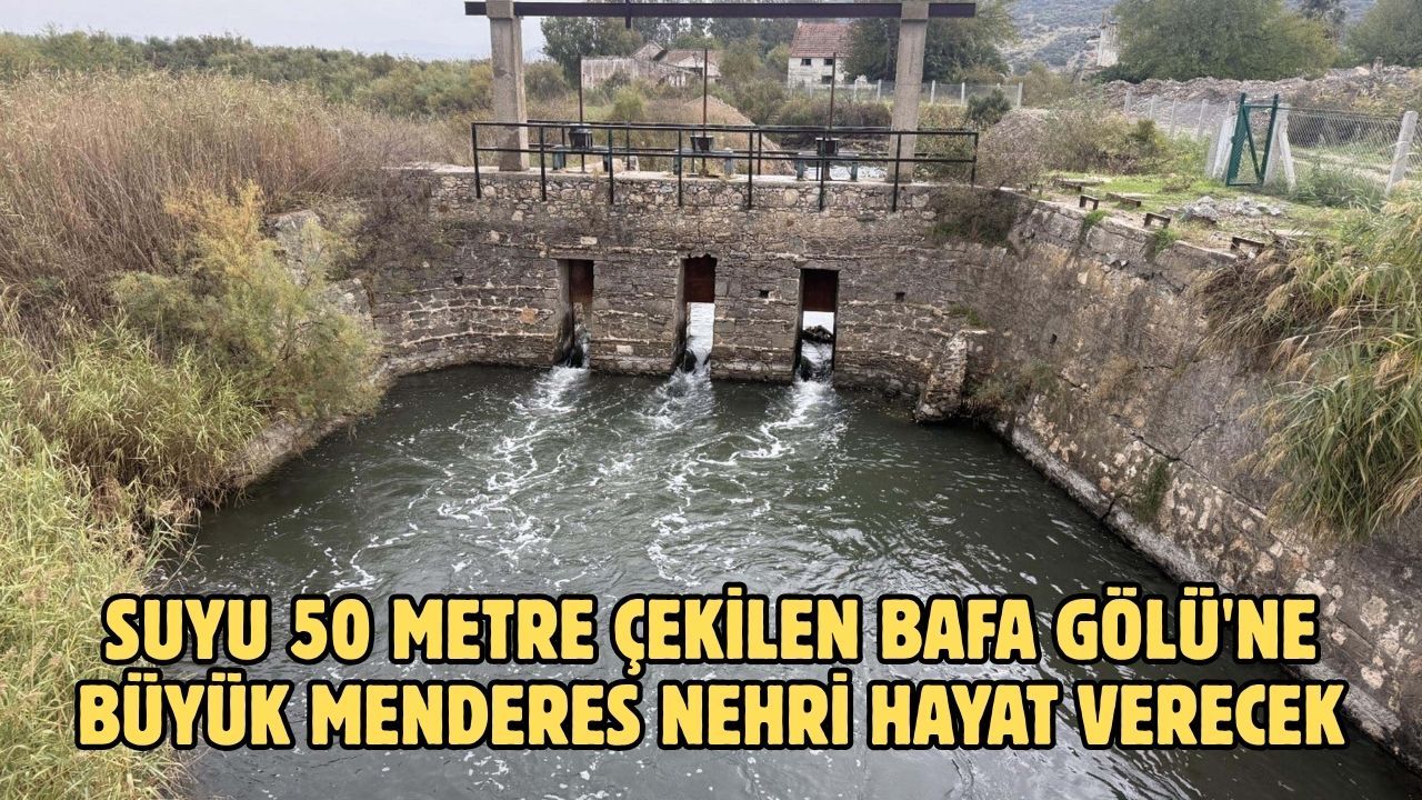 Suyu 50 metre çekilen Bafa Gölü'ne Büyük Menderes Nehri hayat verecek