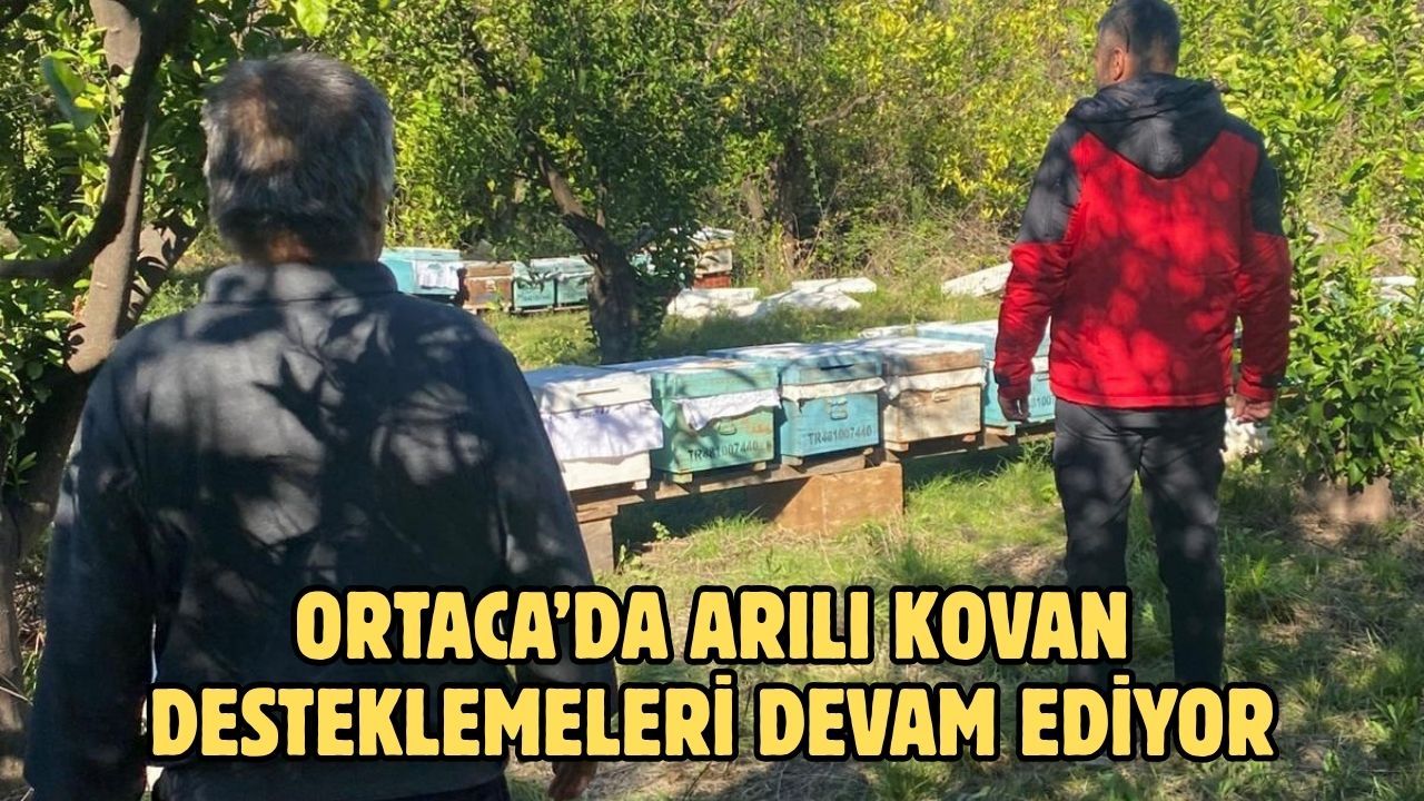 Ortaca’da arılı kovan desteklemeleri devam ediyor