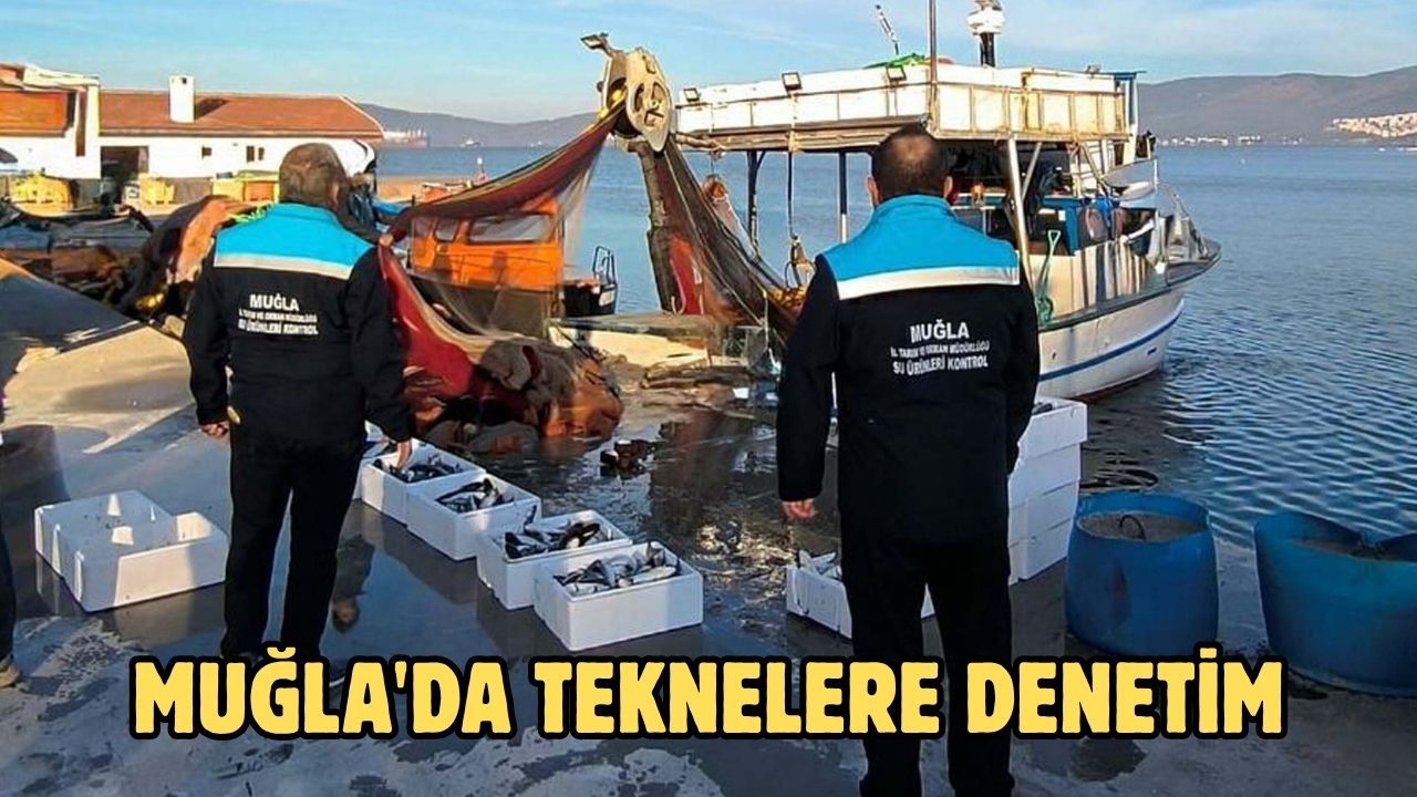 Muğla'da teknelere denetim