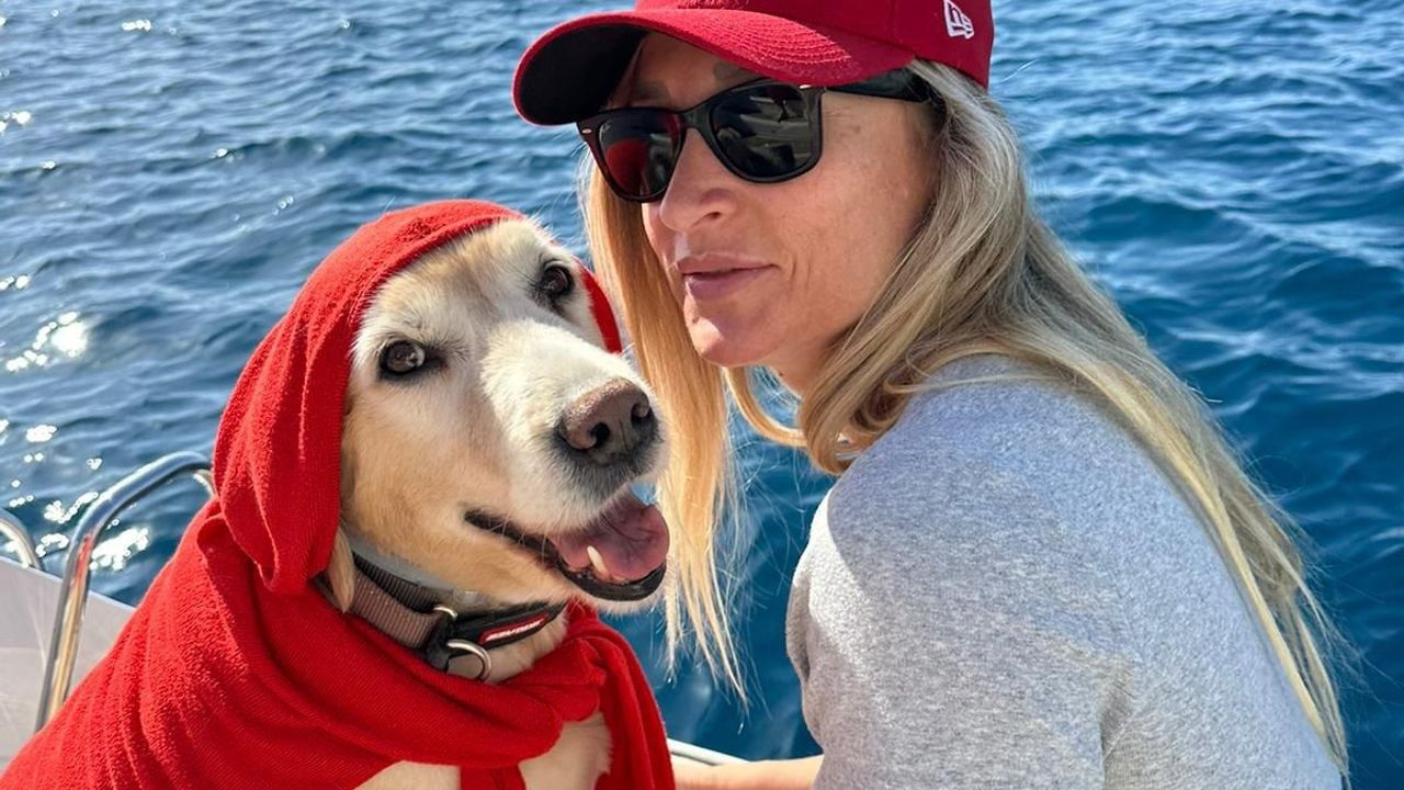Bodrum'daki köpek davasında sanık beraat etti