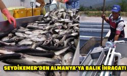 Seydikemer’den Almanya’ya balık ihracatı