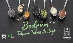 Bodrum'da   3 Mart’ta Tohum Takas Şenliği düzenlenecek