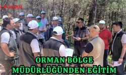 Orman Bölge Müdürlüğünden Eğitim