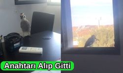 Anahtarı Alıp Gitti