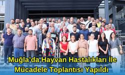 Muğla'da Hayvan Hastalıkları İle Mücadele Toplantısı Yapıldı