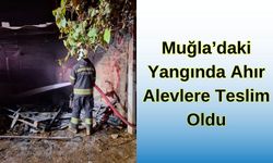 Muğla'daki Yangında Ahır Alevlere Teslim Oldu