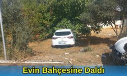 Evin Bahçesine Daldı