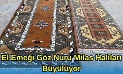 El Emeği Göz Nuru Milas Halıları Büyülüyor