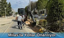 Milas’ta Yollar Onarılıyor