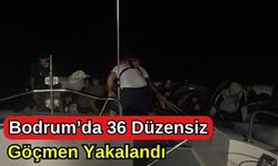 Bodrum'da 36 Düzensiz Göçmen Yakalandı