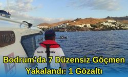 Bodrum'da 7 Düzensiz Göçmen Yakalandı: 1 Gözaltı