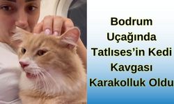 Bodrum Uçağında Tatlıses’in Kedi Kavgası Karakolluk Oldu