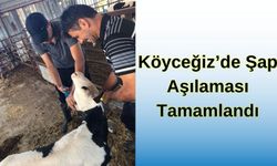 Köyceğiz’de Şap Aşılaması Tamamlandı