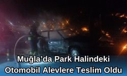 Muğla'da Park Halindeki Otomobil Alevlere Teslim Oldu