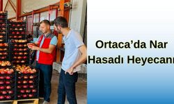 Ortaca'da Nar Hasadı Heyecanı