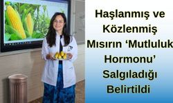 Haşlanmış ve Közlenmiş Mısırın ‘Mutluluk Hormonu’ Salgıladığı Belirtildi