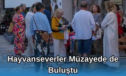 Hayvanseverler Müzayedede Buluştu