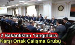 2 Bakanlıktan Yangınlara Karşı Ortak Çalışma Grubu