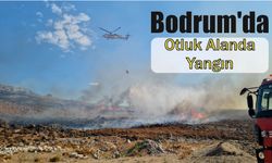 Bodrum’da otluk alanda yangın