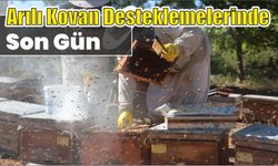 Arılı kovan desteklemelerinde son gün