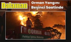 Dalaman orman yangını beşinci saatinde