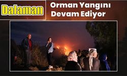 Dalaman orman yangını devam ediyor