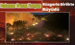 Dalaman orman yangını rüzgarla birlikte büyüdü