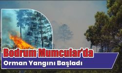 Bodrum Mumcular’da orman yangını başladı