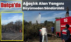 Datça'da ağaçlık alan yangını büyümeden söndürüldü