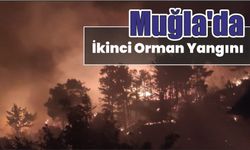 Muğla’da ikinci orman yangını