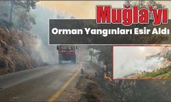 Muğla’yı orman yangınları esir aldı