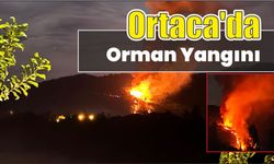 Ortaca'da orman yangını