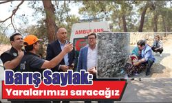 Barış Saylak: Yaralarımızı saracağız