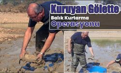 Kuruyan gölette balık kurtarma operasyonu