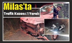 Milas'ta trafik kazası: 1 yaralı