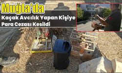 Muğla'da kaçak avcılık yapan kişiye para cezası kesildi