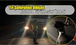 Tır Şoförünün Dikkati Kazanın Büyümesini Önledi