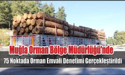 Muğla Orman Bölge Müdürlüğü'nde 75 Noktada Orman Emvali Denetimi Gerçekleştirildi