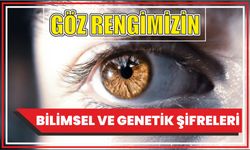 GÖZ RENGİMİZİN BİLİMSEL VE GENETİK ŞİFRELERİ