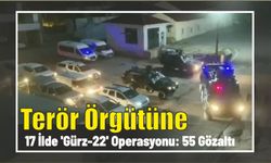 Terör örgütüne 17 ilde 'Gürz-22' operasyonu: 55 gözaltı