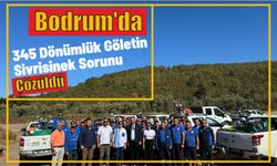 Bodrum'da 345 dönümlük göletin sivrisinek sorunu çözüldü