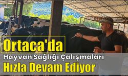 Ortaca’da hayvan sağlığı çalışmaları hızla devam ediyor