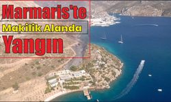 Marmaris'te makilik alanda yangın