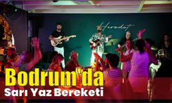 Bodrum’da sarı yaz bereketi