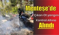 Menteşe'de çıkan ot yangını kontrol altına alındı