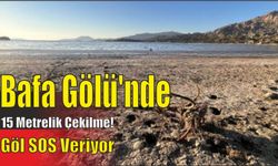 Bafa Gölü’nde 15 metrelik çekilme! Göl SOS veriyor