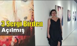 3 sergi birden açılmış